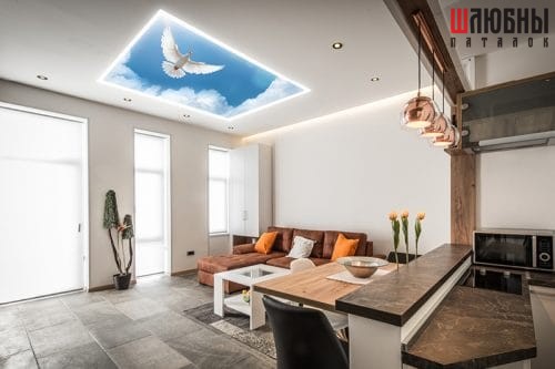 Потолок Double Vision